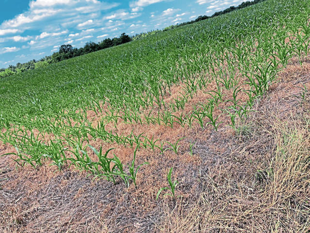 2787701_web1_gtr-cornharvest002-070420