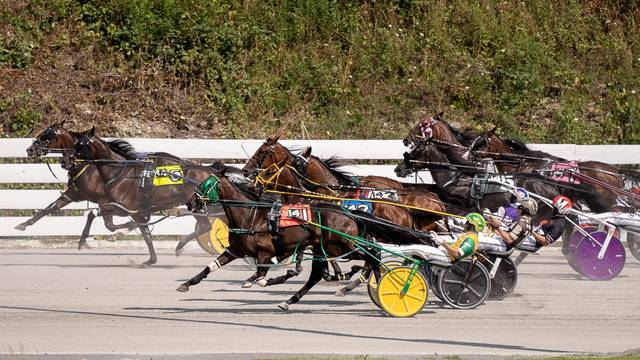 2791822_web1_ptr-HarnessRacing-53120