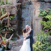 2804864_web1_ptr-aviaryWeddings-070920