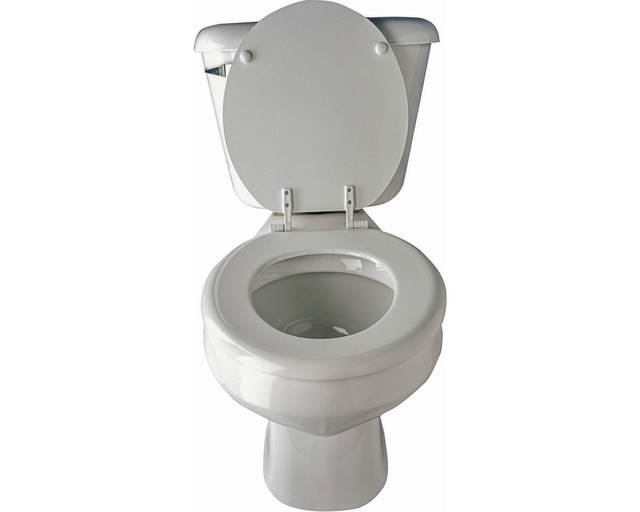 2820753_web1_web-toilet2