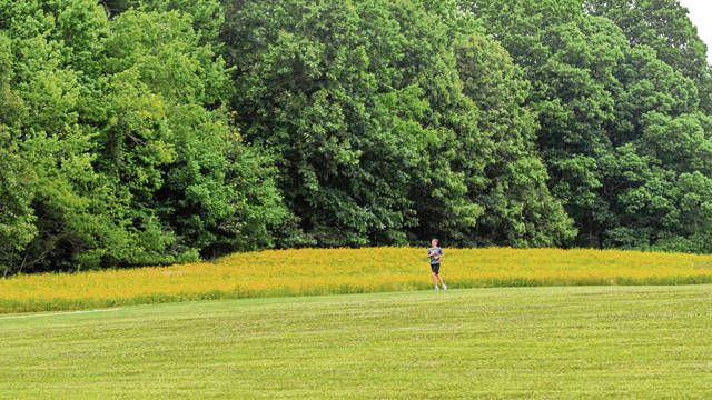 2822773_web1_VND-ParkMeadow3-072120