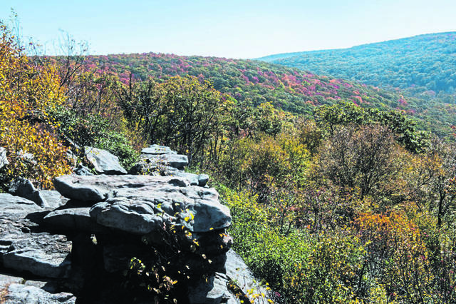 2823587_web1_gtr-lo-FallColors002-102219