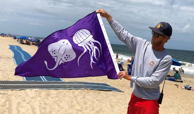 2838257_web1_AP20202456371291