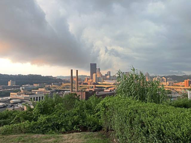 2845932_web1_ptr-lo-cloudshelf02