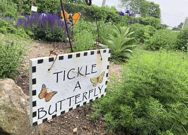 2848549_web1_gtr-oa-butterfly3-060620