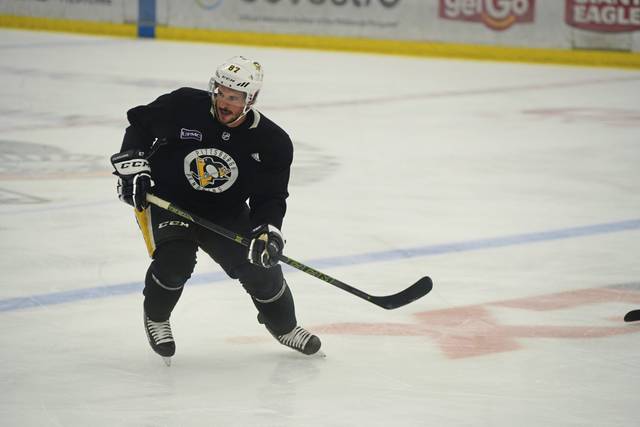 2850286_web1_gtr-Pens07-070720