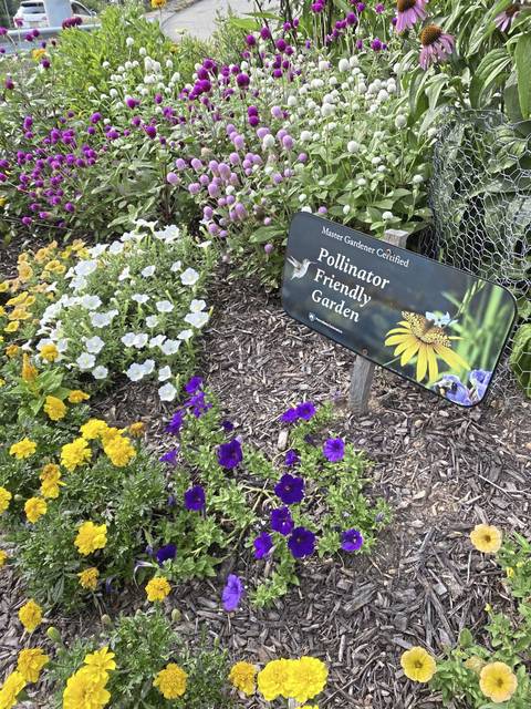 2886074_web1_ptr-Suffrageflowers-080520
