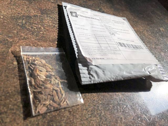2887072_web1_gtr-SeedsFolo-080520