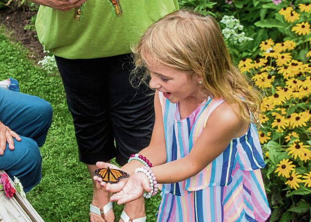 2896423_web1_Gtr-ButterflyRelease005-080920