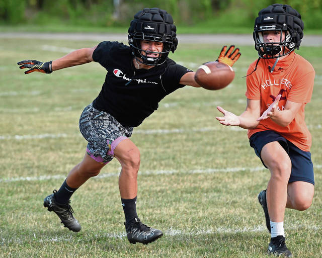 PIAA wants to move forward with fall sports, executive director tells legislators