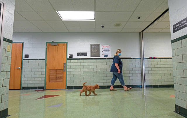 2933710_web1_-vnd-therapydog2-082520