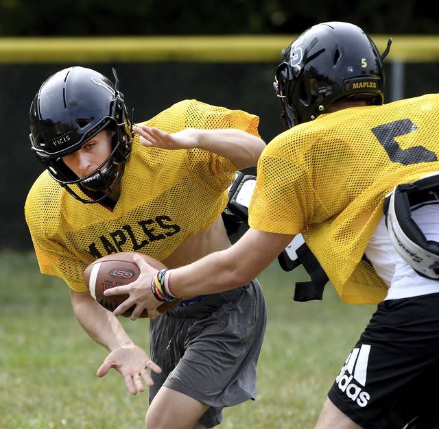 Young Mapletown roster making push to improve