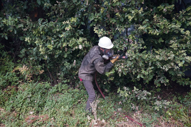 2940398_web1_2940398-81318771ae954baf887786e92a99c77d