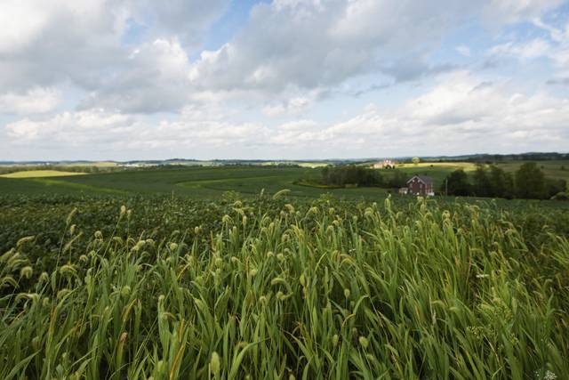 2951504_web1_gtr-Farmpreservation-5-083020