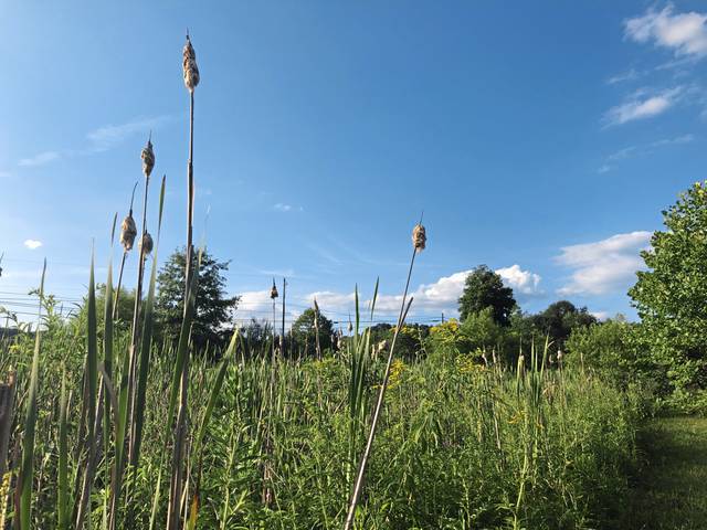 2970967_web1_gtr-storywalk2-080120