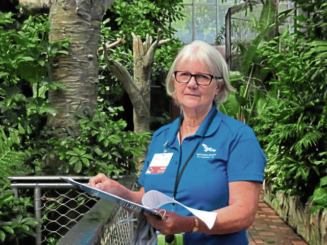 2975056_web1_shr-aviaryvolunteer01-091020