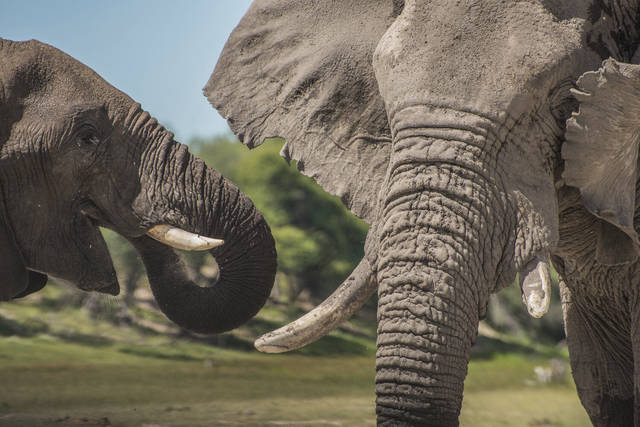 2979074_web1_2979074-1a0d95c1c0404da08abaf1812db3b5dd 2979074_web1_2979074-1a0d95c1c0404da08abaf1812db3b5dd