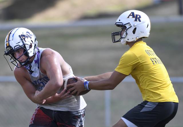 The Birdie happy to be back watching football in the A-K Valley