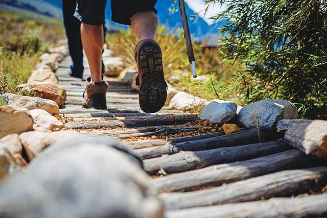 2999800_web1_web-walking