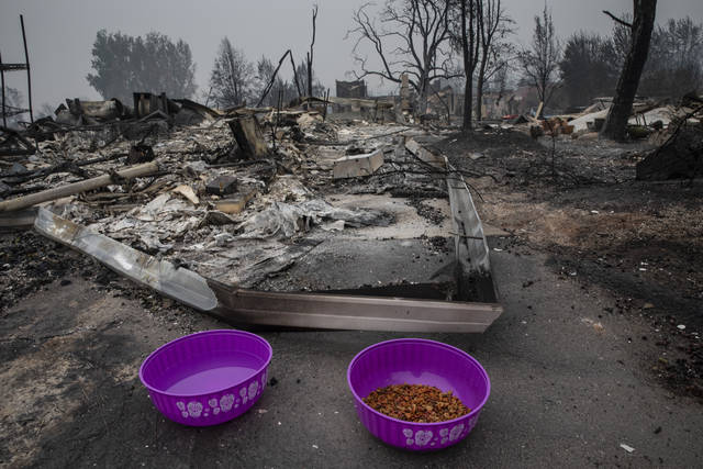 3008668_web1_3008668-89e493e56d474cb68a721f58dce5dca5 3008668_web1_3008668-89e493e56d474cb68a721f58dce5dca5