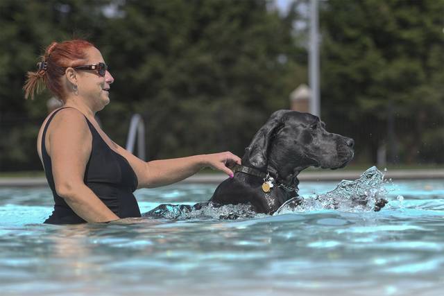 3011298_web1_gtr-lo-PoolDogs4-091220