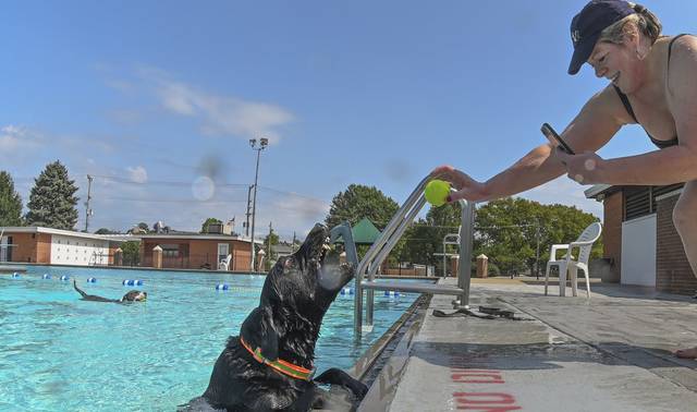 3011298_web1_gtr-lo-PoolDogs5-091220