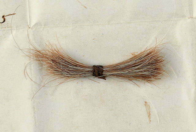 3011922_web1_3011922-796b263c1d4e42a6a99cb52fbae992c3 3011922_web1_3011922-796b263c1d4e42a6a99cb52fbae992c3