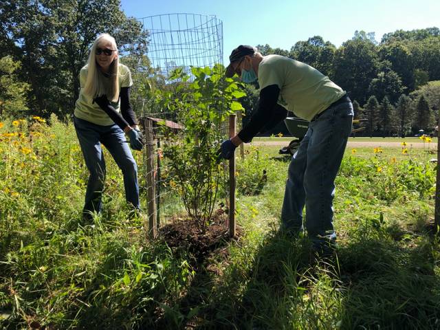 3035318_web1_PHP-shadetreeplanting-100120--2-