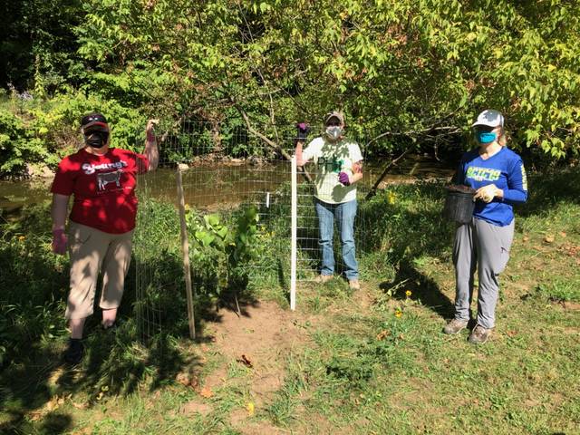 3035318_web1_PHP-shadetreeplanting-100120--3-