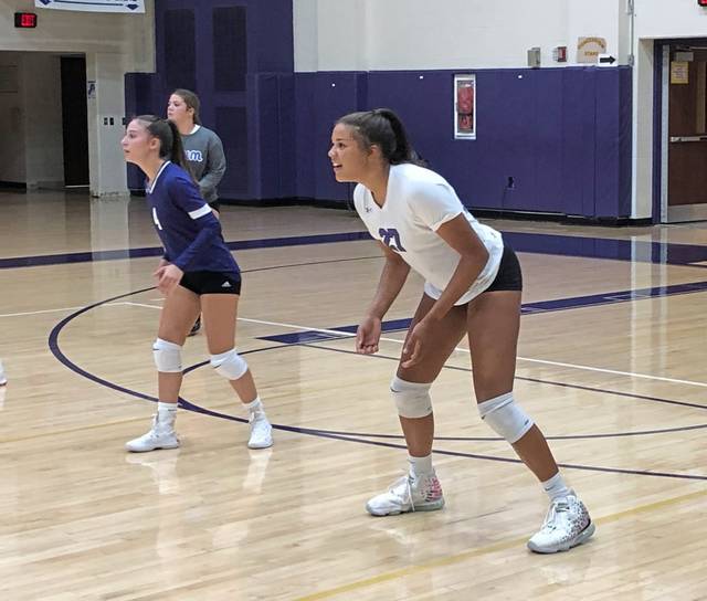 Alle-Kiski Valley flush with volleyball prowess