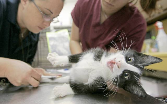 3048187_web1_AP070724047314a 3048187_web1_AP070724047314a