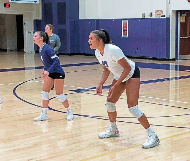 Plum volleyball turns to extensive experience for rebound