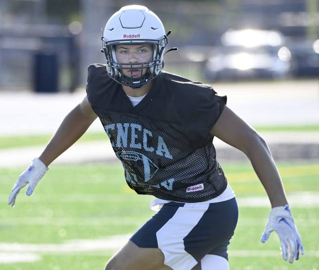 WPIAL 6A, City League roundup: Ethan West lifts Seneca Valley past Norwin