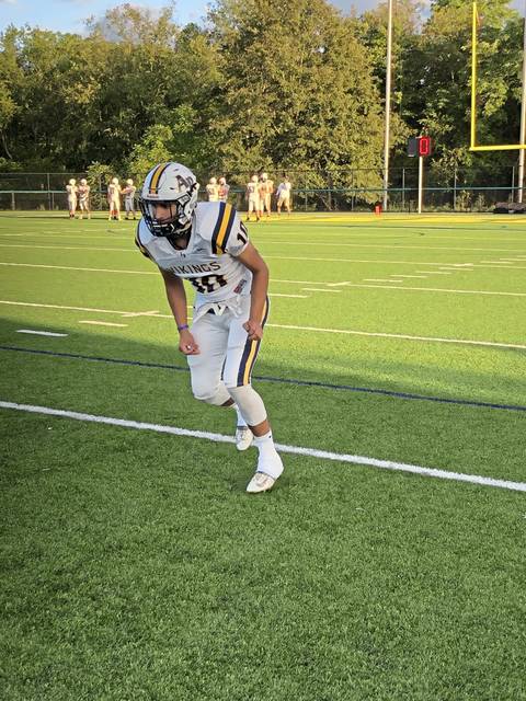 Alle-Kiski Valley football notebook: Bye week at bad time for Apollo-Ridge