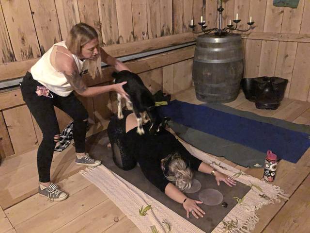 3064477_web1_GTR-GoatYoga-100820--3-