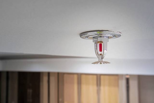 3067361_web1_gtr-HempSprinklers20190821_0141