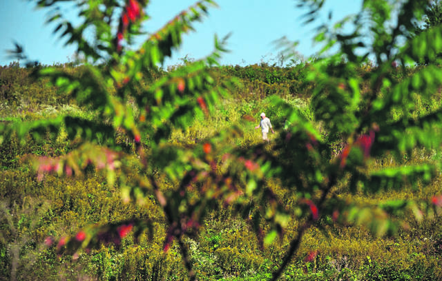 3068392_web1_sig-cover-101719