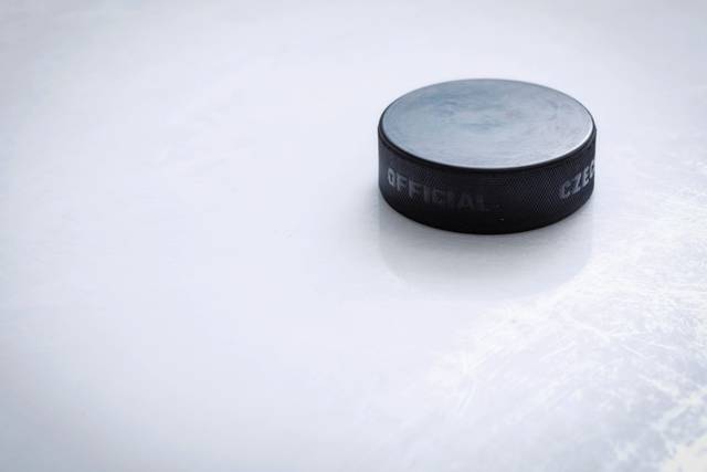 3070423_web1_hockeystock3