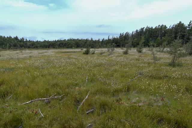 2951739_web1_GTR-BOG100-082820
