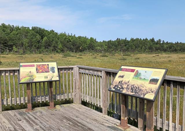 2951739_web1_gtr-bog-signs-092020