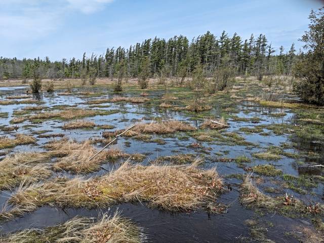2951739_web1_gtr-bog-spring1-092020