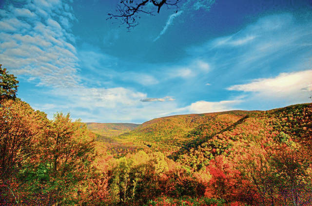 3017175_web1_gtr-liv-fallfoliage-BR-092720