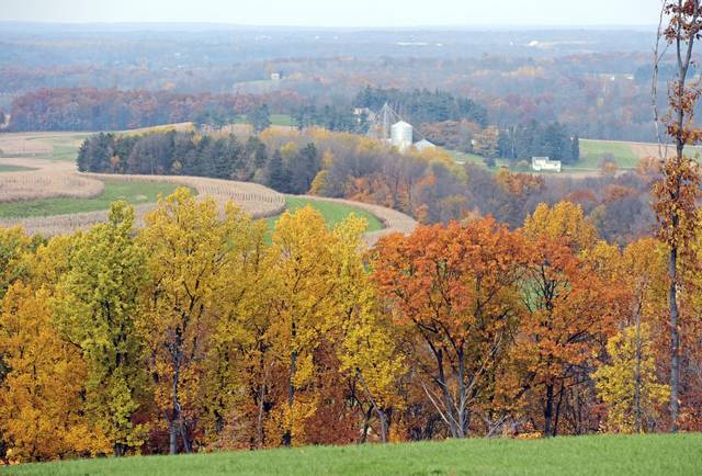 3017175_web1_gtr-liv-fallfoliage-moraine-092720
