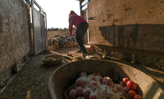 3052582_web1_gtr-LivestockSales3-100320
