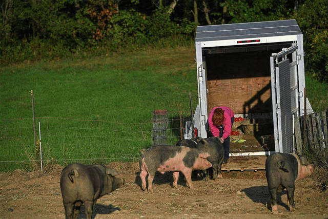 3052582_web1_gtr-LivestockSales6-100320