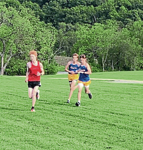 Hampton cross country team finds its stride in Class AA