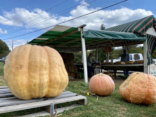 3074267_web1_vnd-pumpkin02-093020