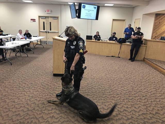 3080720_web1_gtr-NHcitizenpolice