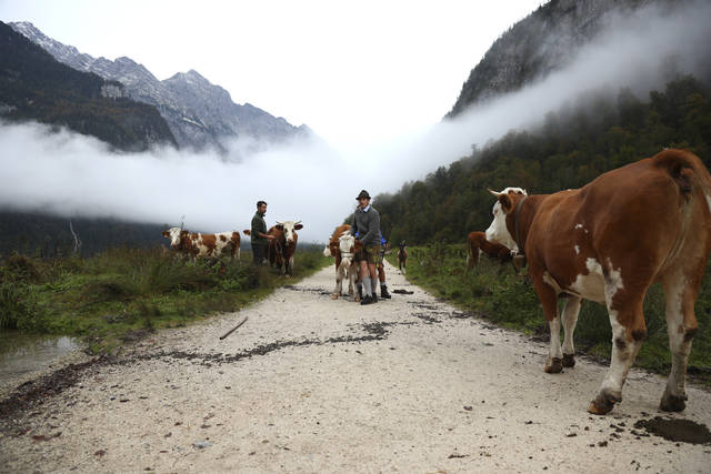 3082354_web1_3082354-70554088869f4291877d13d62543911a