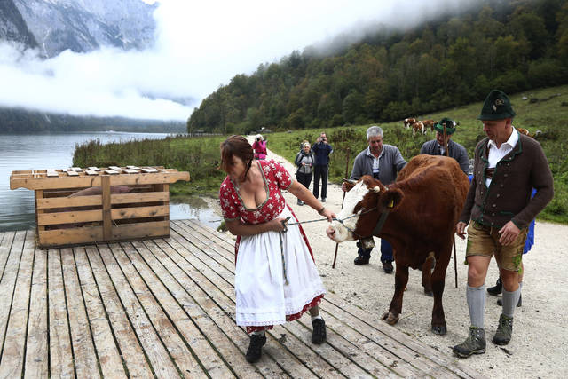 3082354_web1_3082354-8c37279cff12489b83c33f7c0bd235f3